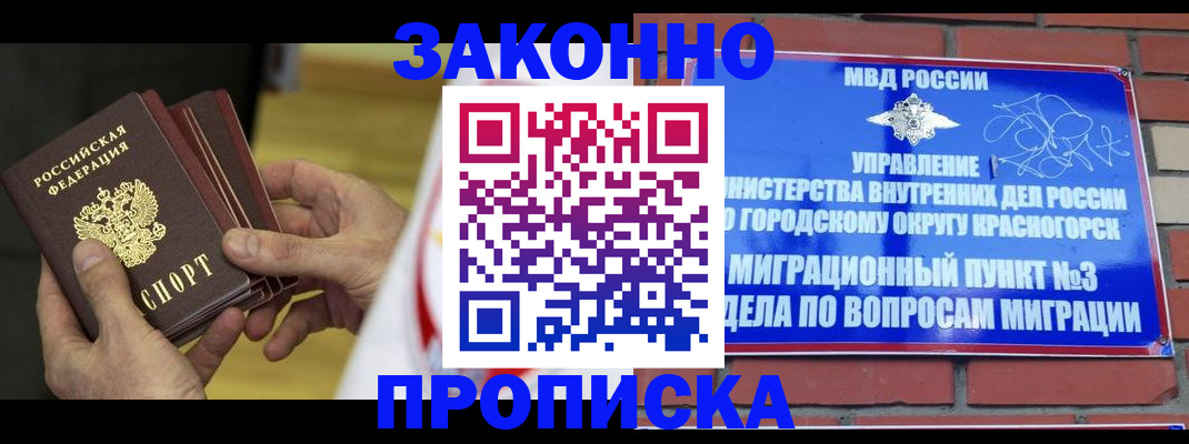 прописка для школы в Владимирской области